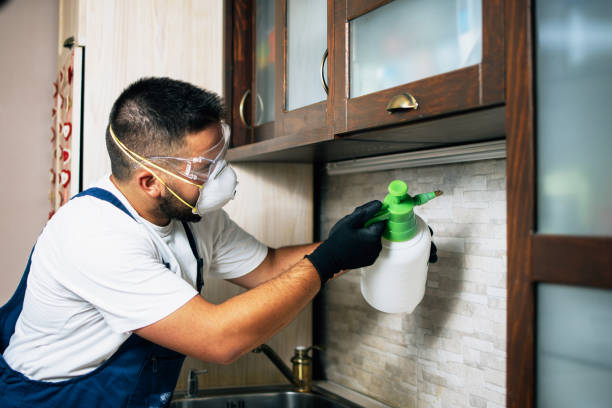 Best Best Pest Control Companies  in Rolling Fork, MS